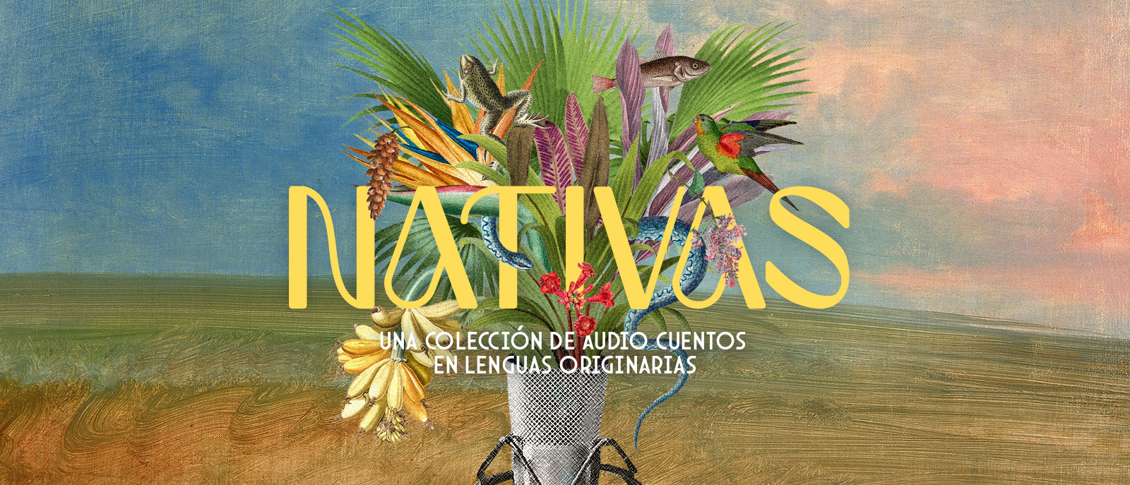 Nativas cuarta temporada de Cuentos en Red