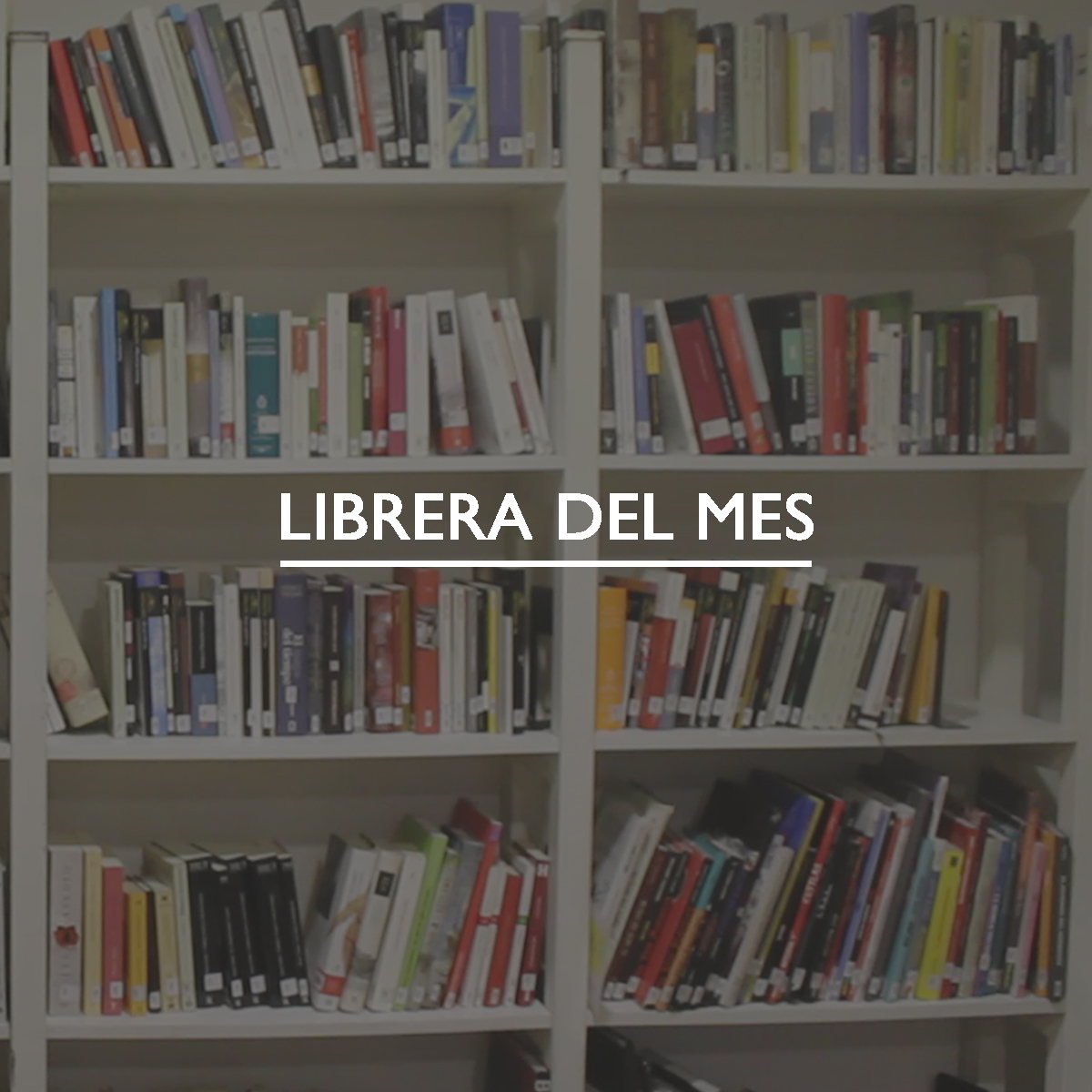 LIBRERA DEL MES JULIO 2019