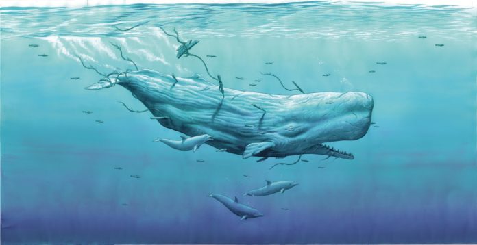 CLUB DE LECTURA JUVENIL EN OCTUBRE