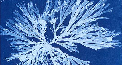 CIENCIA PRCTICA PARA NIAS Y NIOS