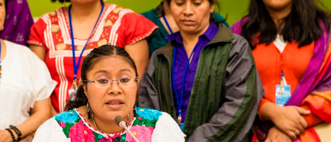 Pueblos indgenas y Covid19