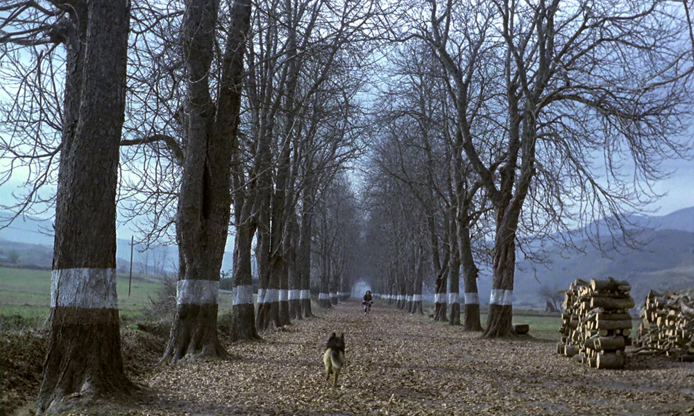 Clsicos Contigo El sur