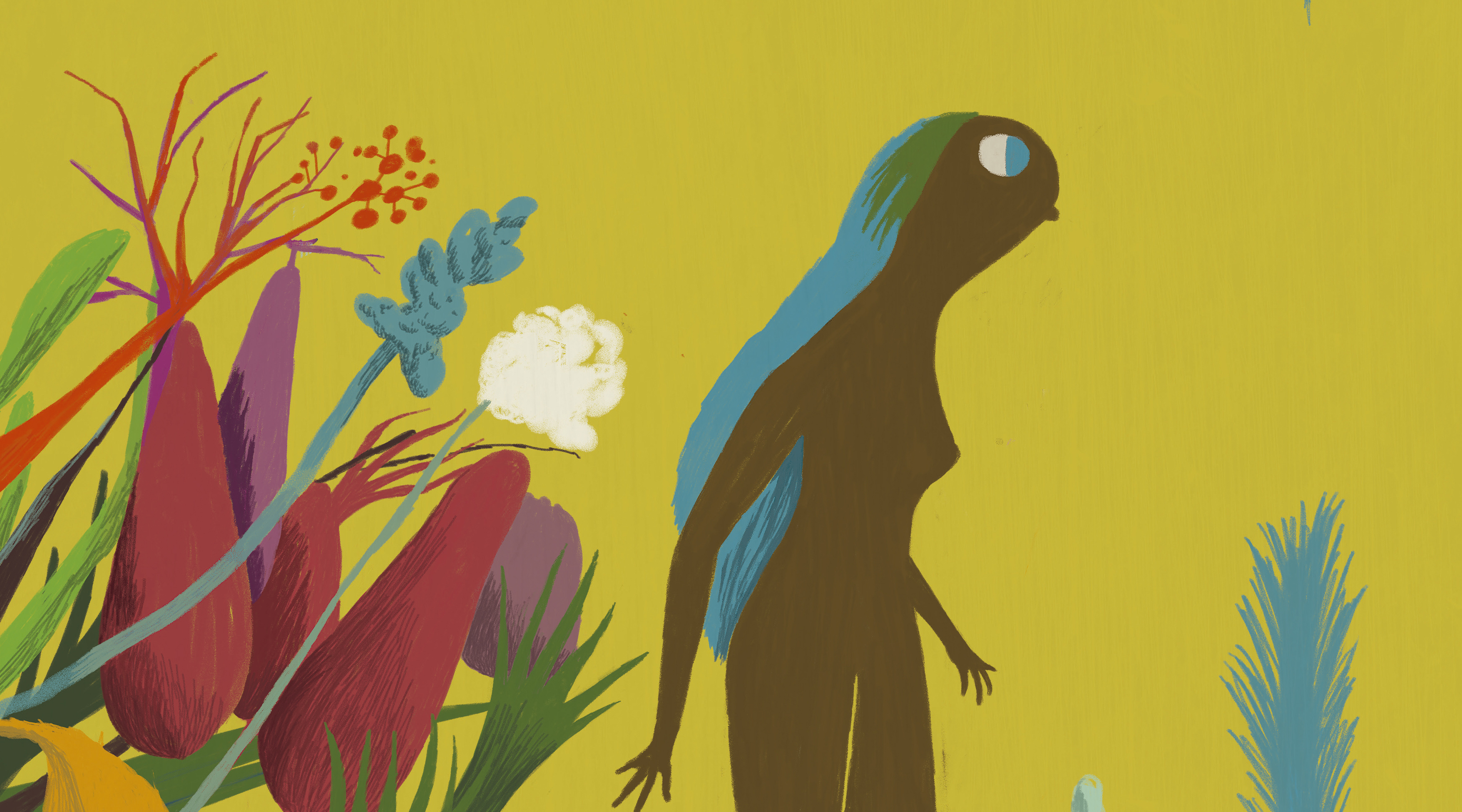 ANIMAC CAMINA El futuro es femenino