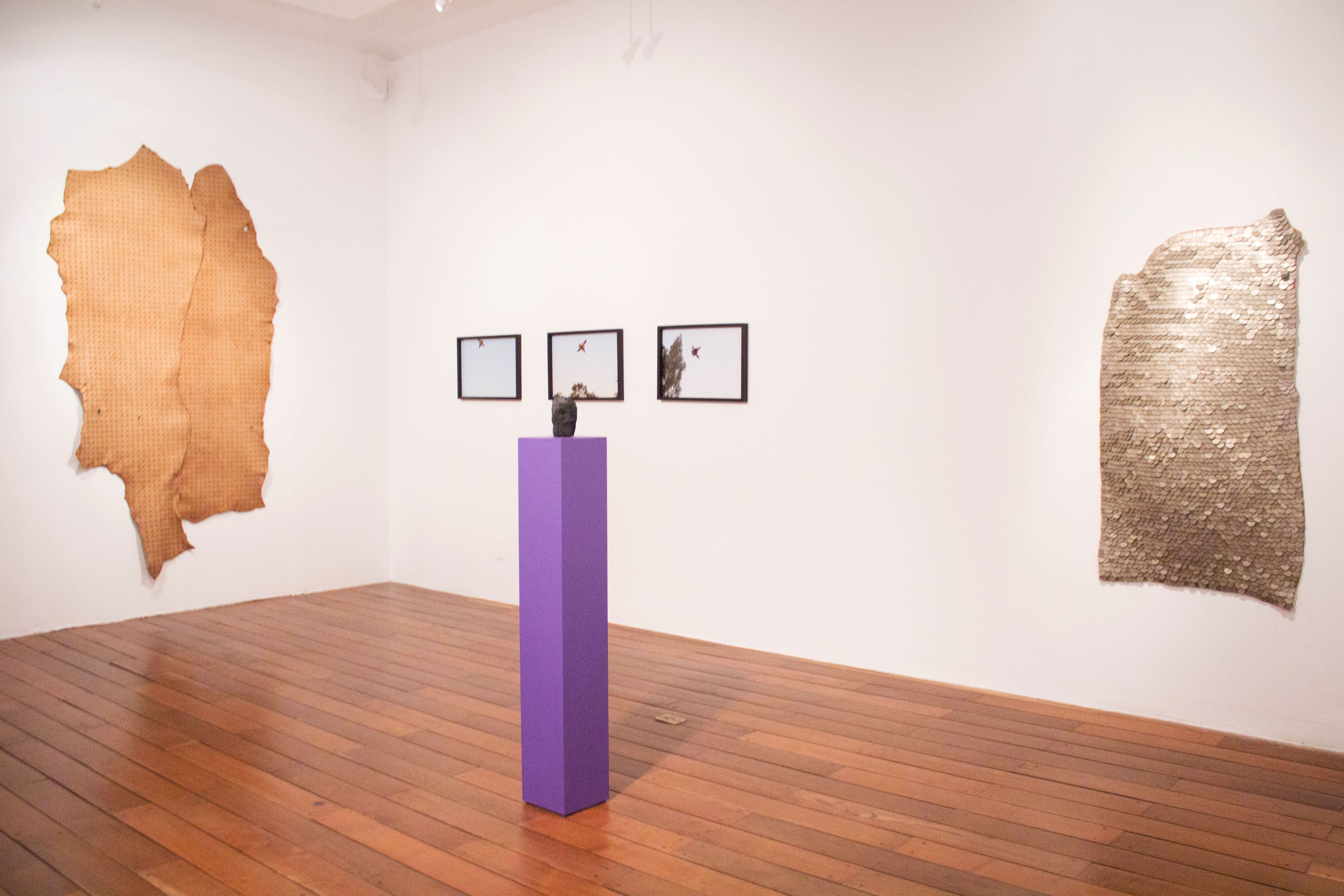 Visita comentada a Presente de Andrs Bedoya