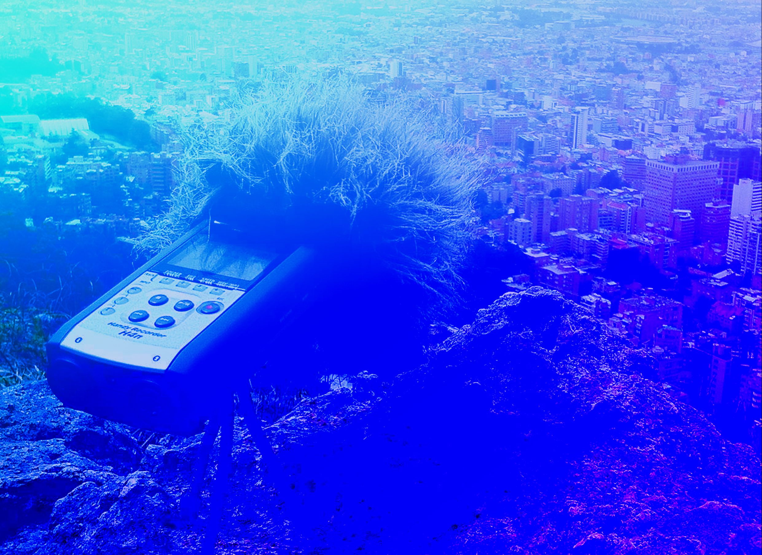 Propuestas seleccionadas Cartografa Sonora Colaborativa