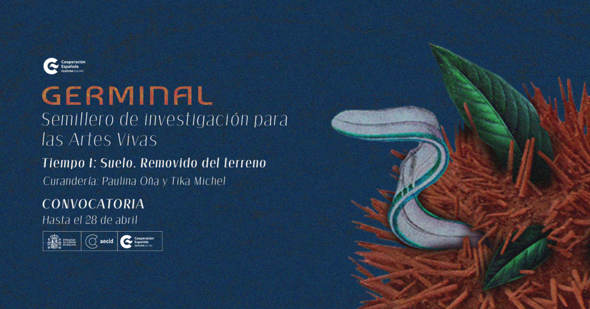 GERMINAL TIEMPO I Suelo Removido del terreno