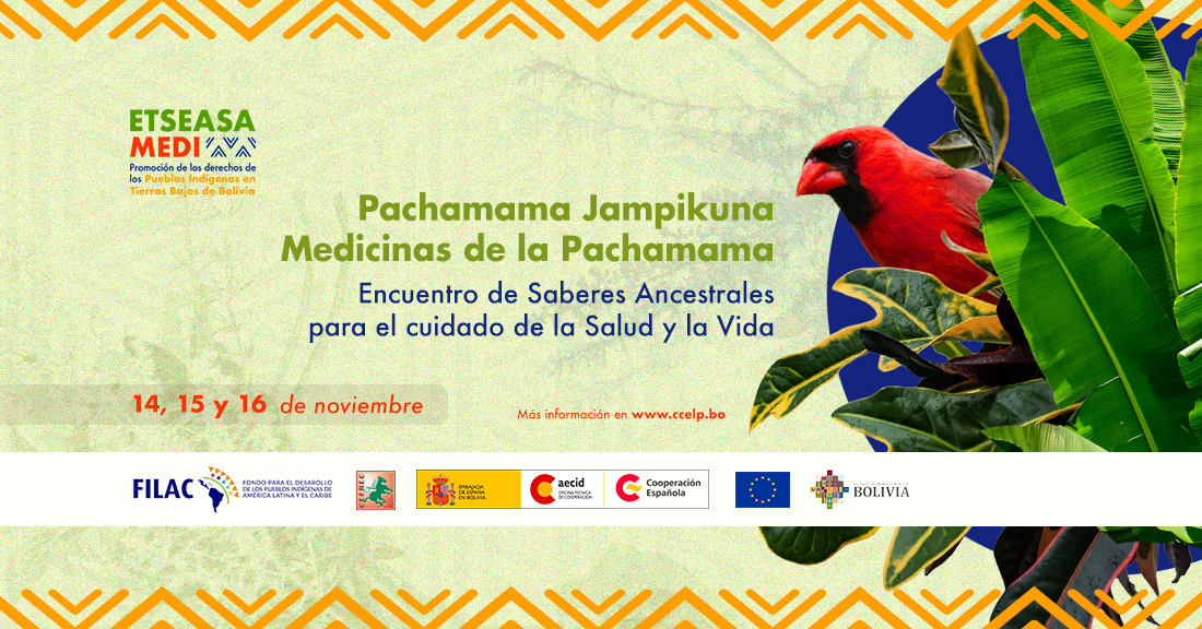 Pachamama Jampikuna Medicinas de la Pachamama