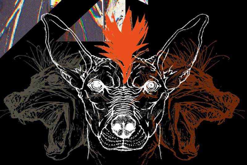 Perro con cresta roja