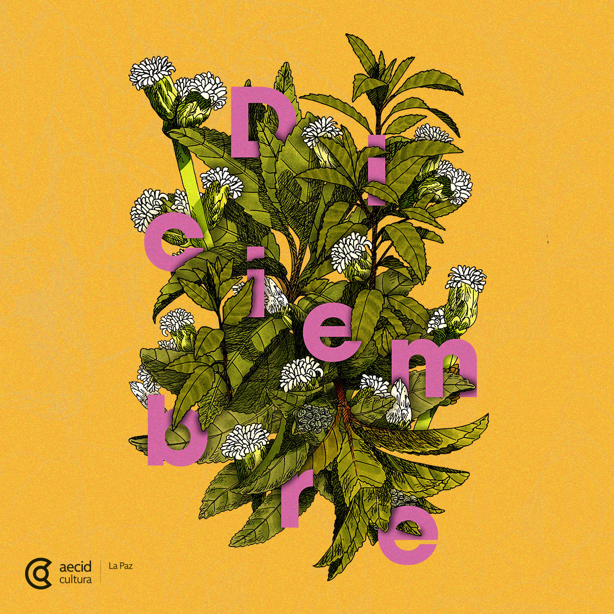 Agenda del mes de diciembre de 2025