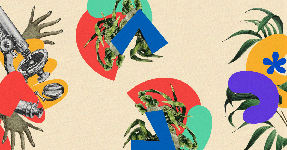 Del campo al herbario: una experiencia científica para niñas