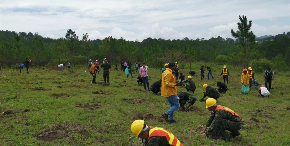 Municipalidad de Santa Rosa de Copán y la Cooperación Española encabezan actividades de reforestación